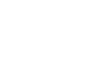 download_icon